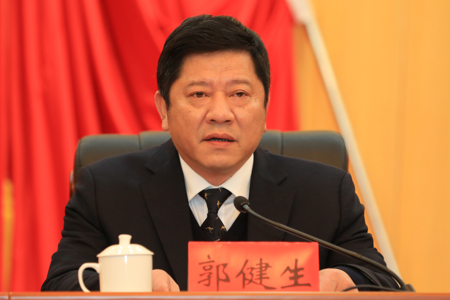 市委常委市纪委书记郭健生代表市纪委常委会作工作报告